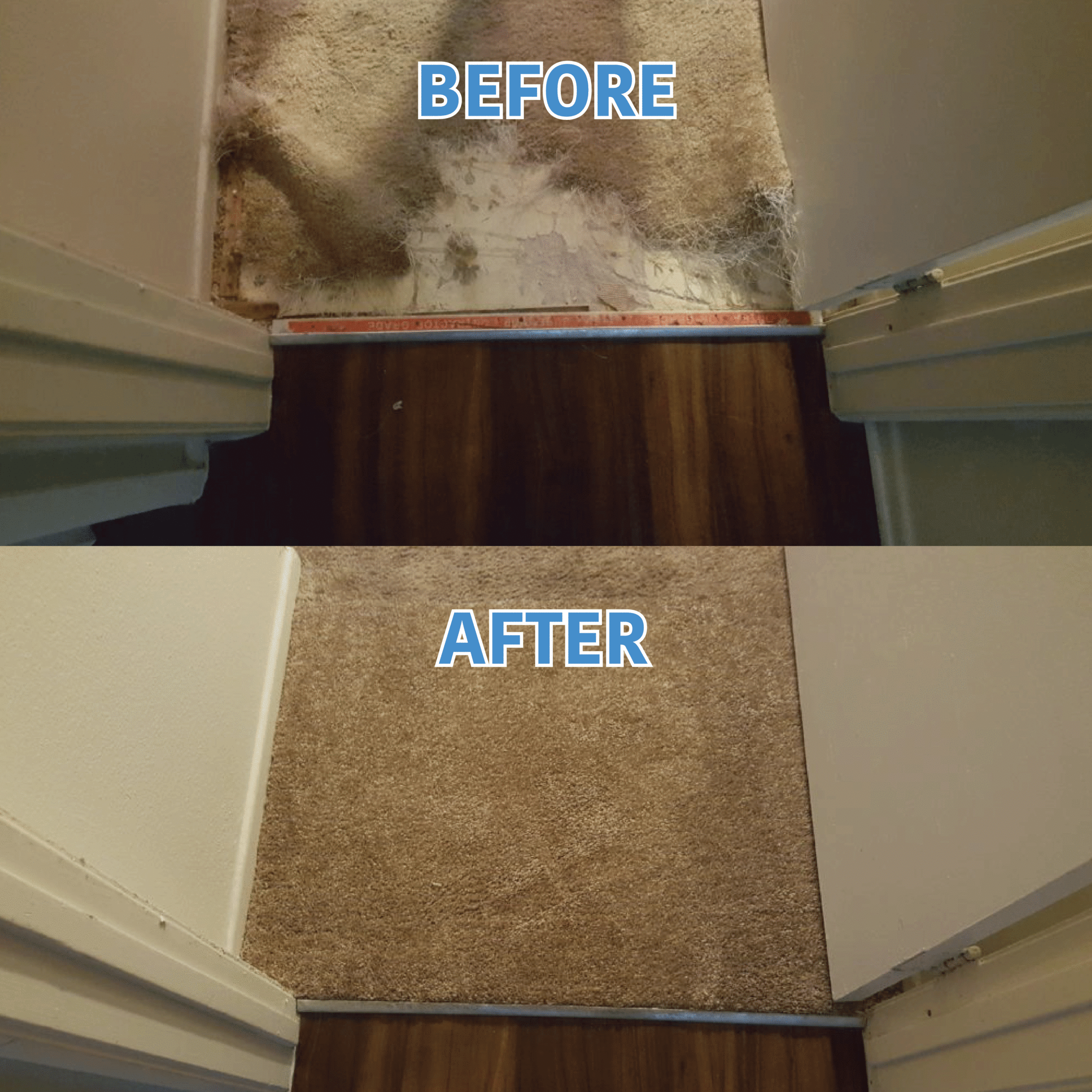Carpet Pet Damage